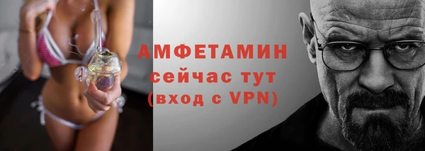 индика Надым