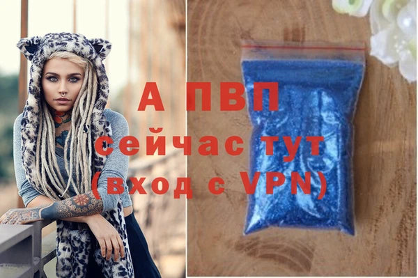индика Надым