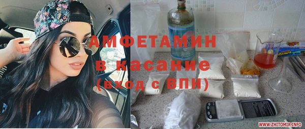 индика Надым