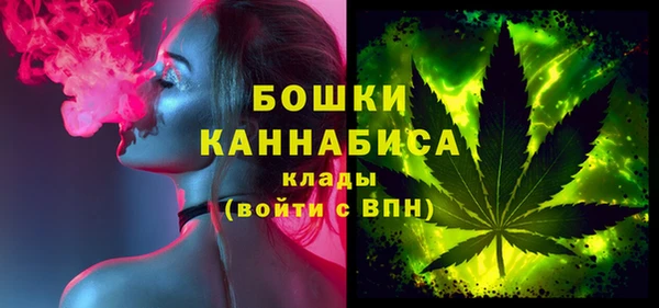индика Надым
