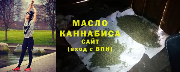 индика Надым