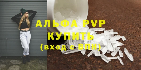 индика Надым