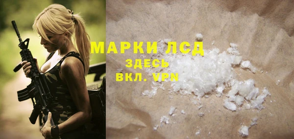 индика Надым