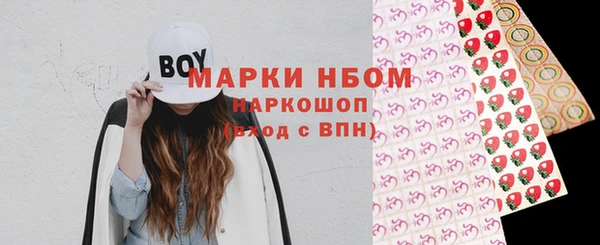 индика Надым