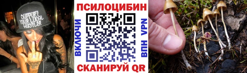 blacksprut как зайти  Красный Холм  Псилоцибиновые грибы Magic Shrooms 